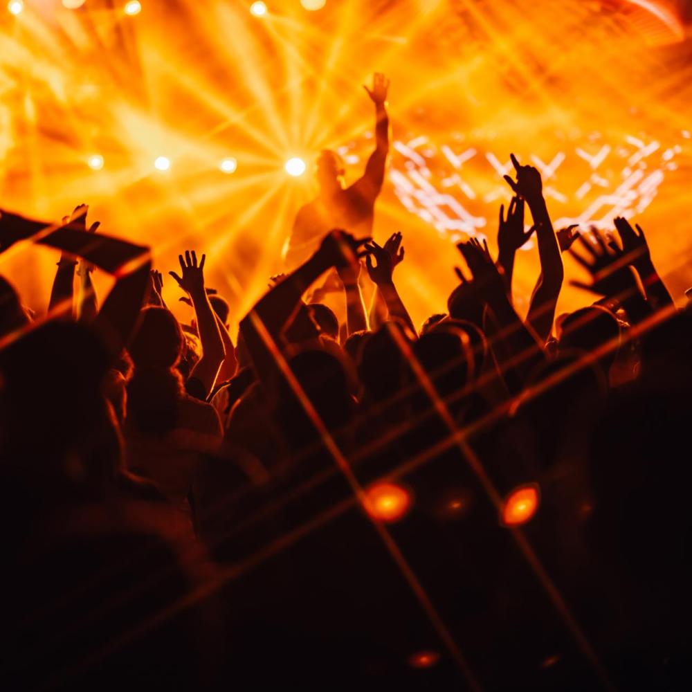 Christmas Parties at Watford FC