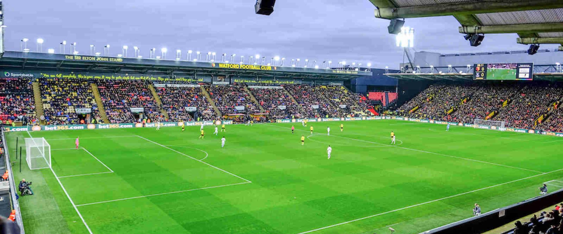 watford pitch