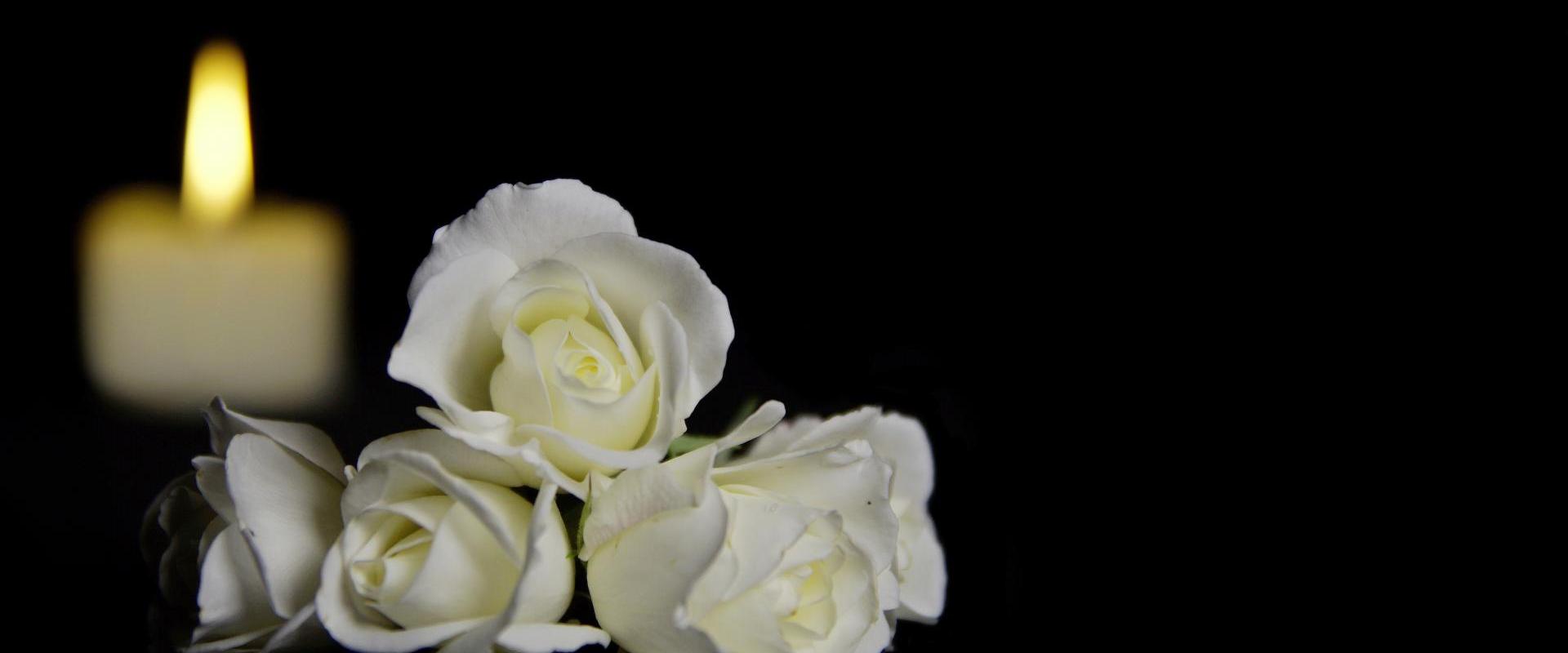 celebration of life
